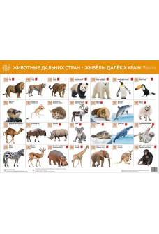 Животные дальних стран. Жывёлы далёкіх краін (интерактивный плакат)