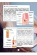 Тело человека
